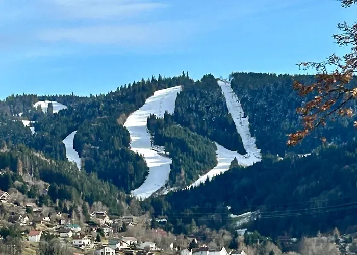 Horská chata Pralin *